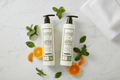 Archipelago Botanicals Morning Mint Flatlay Correct Scents