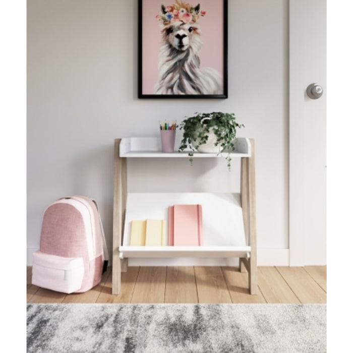 Blariden Bookcase
