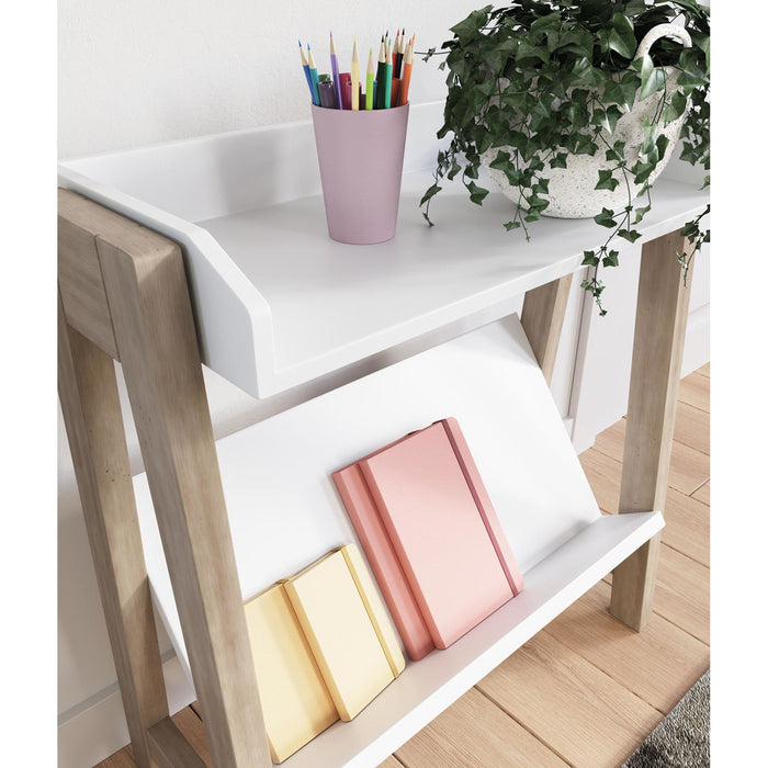 Blariden Bookcase