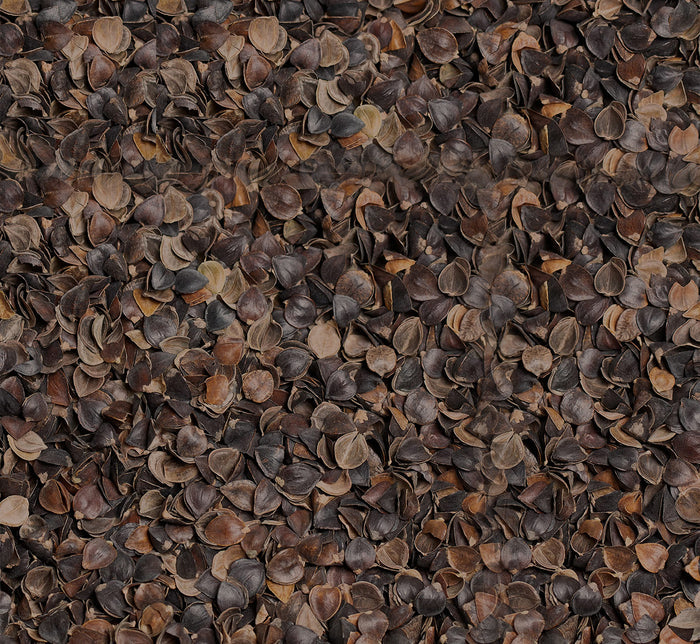 Dark brown Turmerry buckwheat hulls.