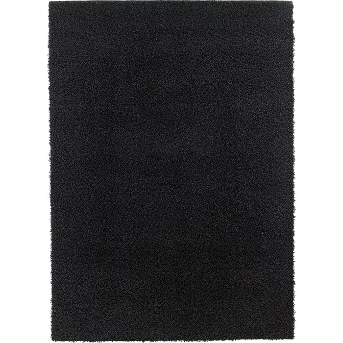 Caci Charcoal Area Rug