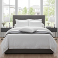Choice Hotels King Blue Label Firm Pillow at home Pillows