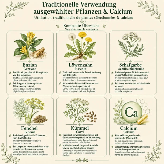 Traditionelle Verwendung der Inhaltsstoffe von Digest essentia