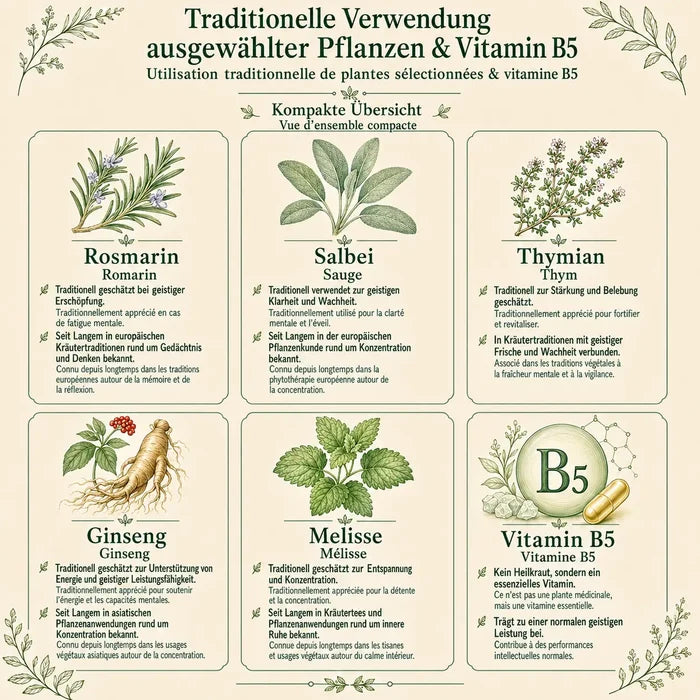 Traditionelle Verwendung der Inhaltsstoffe in Fokus essentia