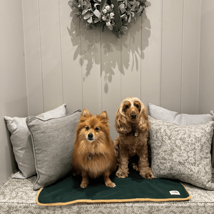 Forest Green Dog Mat - Microfibre Back