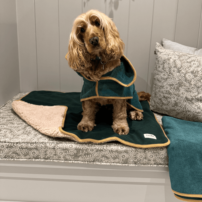 Forest Green Dog Robe