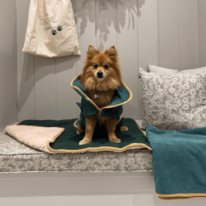 Forest Green Dog Robe
