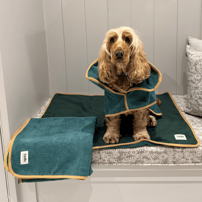 Forest Green Dog Towel