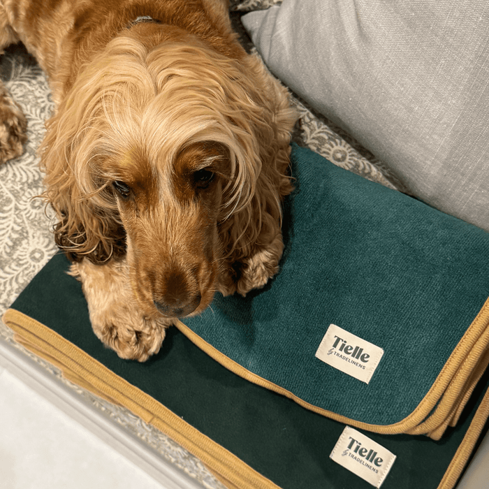 Forest Green Dog Towel