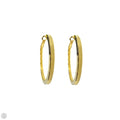 Gold Tone Hoop Earrings