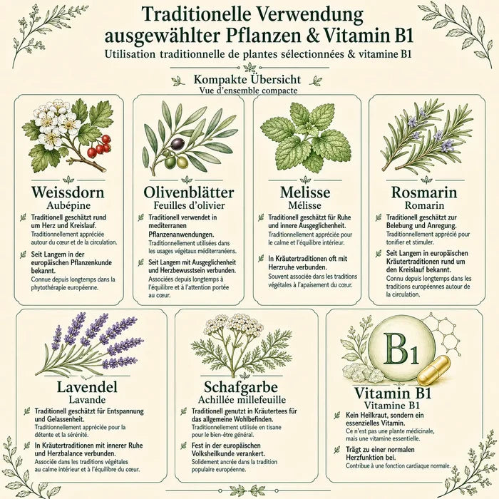 Traditionelle Verwendung der Inhaltsstoffe von Herz essentia