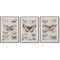 Jossletts Wall Art (Set of 3)