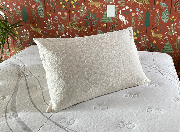 Organic Cotton Knit Pillow Protector