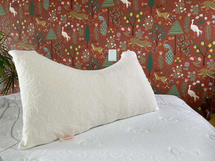 Organic Cotton Knit Pillow Protector
