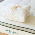 Avocado Green Mattress Organic Pad Protector GOTS