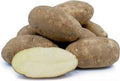 ORGANIC POTATOES RUSSET 5#  '164