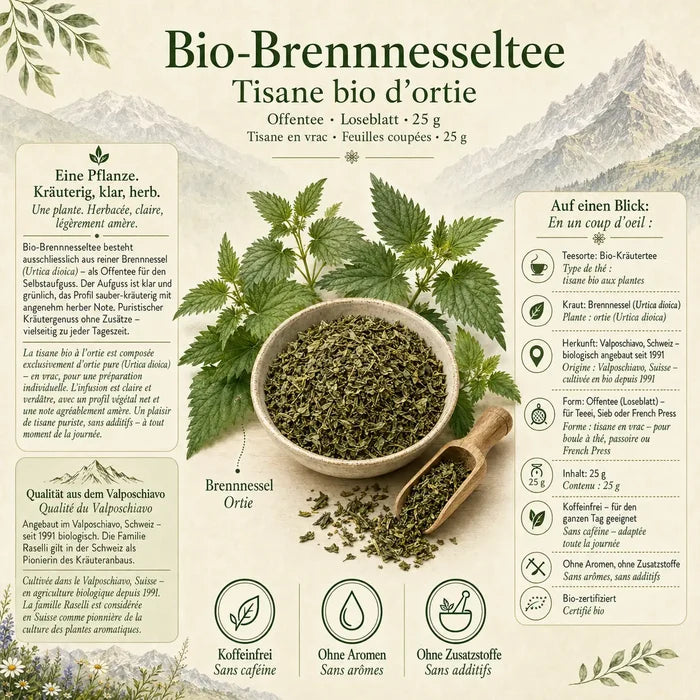 Infografik zum Brennessel-Tee mit Zutaten, Herkunft und Überblick