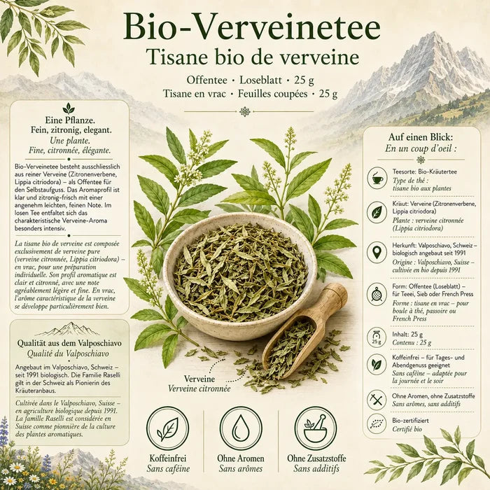 Infografik zum Verveine-Tee lose mit Zutaten, Herkunft und Überblick