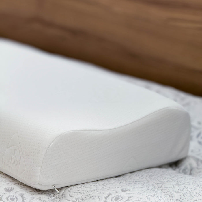 Sealy Contour Shape Latex Pillow