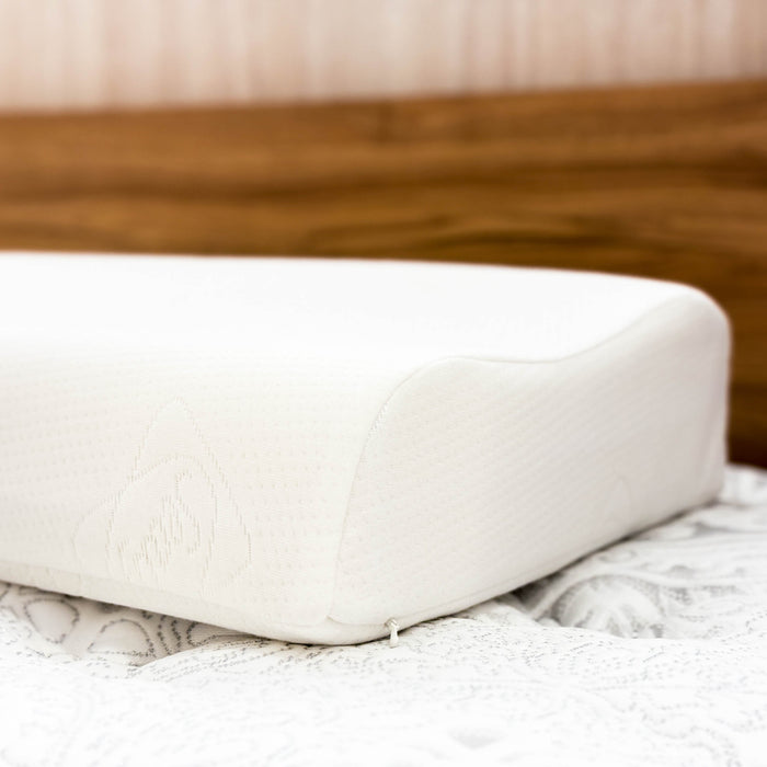 Sealy Contour Shape Latex Pillow