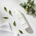Flat Lay - Eucalyptus